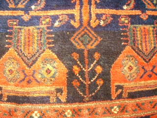 Very old and special kurdish rug. Koliai. Size: 143 x 237 cm. Good condition. All natural colors. Wool on wool.             