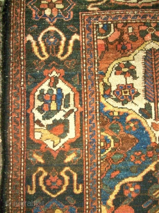 antique Bachtiari. Size: 146 x 191 cm. Organic Colors. Fine knotting. Thin pile.                    