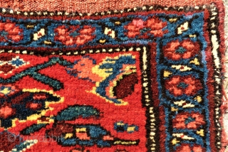 antique Bidjar Mafrash side. Size: approx. 100 x 48 cm. Great colors and perfect wool.                  