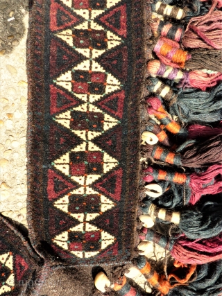 Baluch animal trapping. size: 88 / 83 x 14 cm. Original with Lapiz and cowrie shell.                 