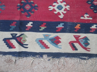 Antique Pirot Sarkoy kilim

240 x 190 cm                          