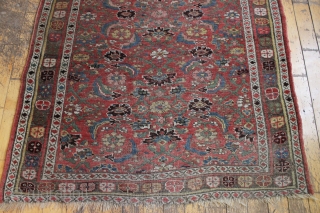 antique kurd bijar rug. Nice honest older floor rug with classic herati field. "as found", low pile with wear and brown oxidation as shown. With nice thick weave that even with wear  ...