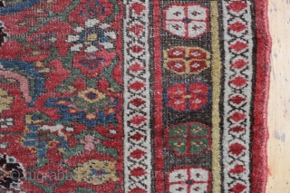 antique kurd bijar rug. Nice honest older floor rug with classic herati field. "as found", low pile with wear and brown oxidation as shown. With nice thick weave that even with wear  ...