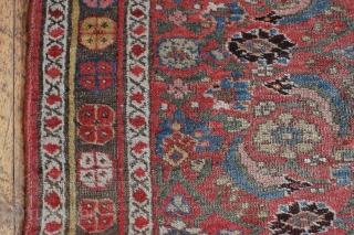 antique kurd bijar rug. Nice honest older floor rug with classic herati field. "as found", low pile with wear and brown oxidation as shown. With nice thick weave that even with wear  ...