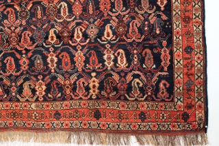 Antique Afshar rug with classic design and good "as found" New England house condition.  Good meaty pile with all natural colors. All wool. A couple of spots needing easy repair (now  ...