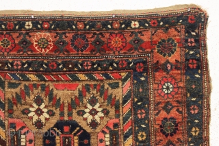 antique camel ground northwest persian kurdish rug with nice thick high pile. Unusual and interesting design. As found, reasonably clean with no repairs. Colorful. Lovely and usable antique rug. ca. 1890. 4'3"  ...