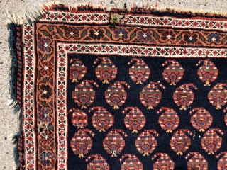 Antique northwest Persian very wide bag or trapping, probably Kurdish, with high quality wool and vibrant natural colors. Very delicately drawn boteh on the dark blue ground. Overall good tight weave with  ...