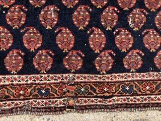 Antique northwest Persian very wide bag or trapping, probably Kurdish, with high quality wool and vibrant natural colors. Very delicately drawn boteh on the dark blue ground. Overall good tight weave with  ...