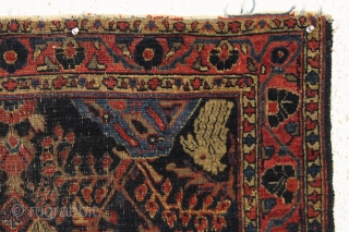 four bunnies of the apocalypse. Antique sarouk rug with four rabbits and six great birds. As found, very dirty with wear and end unraveling as shown. Old residual glue or rug pad  ...