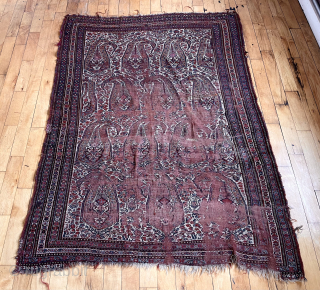 Antique south Persian ivory ground rug with classic boteh design field. Rough condition as shown. Priced accordingly. Structurally sound. 
53” x 74” asking $275 or bo       