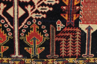 Beautiful antique tribal rug, probably Baktiari, with a great design and superb colors. Mostly thick full pile and terrific nearly square size. Lovely greens, purples and a clear yellow/gold. Wool warps. Clean,  ...