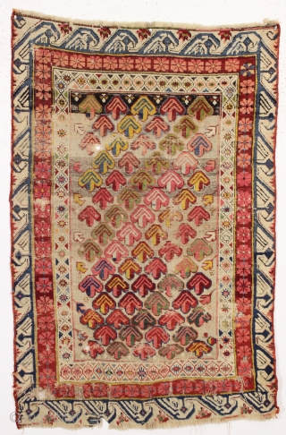 antique little seichour rug with astonishing color. A rainbow of natural colors. Almost completely oxidized brown field. Overall rough condition with wear and damage as shown. Slight edge staining from the crude  ...