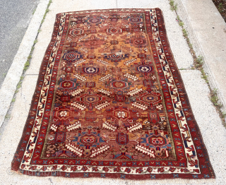 Early large Kurdish, “Sauj Bulagh” rug. Exceptional example of this design group. First rate saturated natural colors featuring lovely purples, greens, pinks, yellows and multiple reds. Original browns heavily oxidized and large  ...