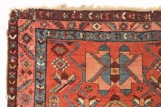 antique little northwest Persian rug with an eye catching design. Beautiful colors. Unfortunately another rug ravaged by wolves. Great repair project. ca. 1900-1920.
4'2" x 5'6"        