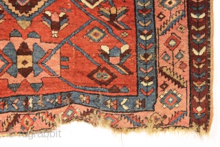 antique little northwest Persian rug with an eye catching design. Beautiful colors. Unfortunately another rug ravaged by wolves. Great repair project. ca. 1900-1920.
4'2" x 5'6"        