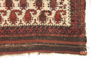 antique small ivory ground baluch rug. Nicely drawn example of a rare design. "as found", with wear and edge roughness as shown. Priced accordingly. Good age, ca. 1880 or earlier. 2'11" x  ...