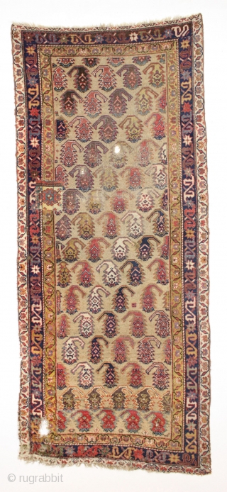 Antique northwest persian long rug. Nice border. "as found", with great natural colors. High quality. Very diry. Single wefted. Good age, ca. 1875 or earlier. 3'8" x 8'9"     