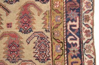 Antique northwest persian long rug. Nice border. "as found", with great natural colors. High quality. Very diry. Single wefted. Good age, ca. 1875 or earlier. 3'8" x 8'9"     