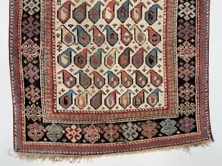 Antique Caucasian akstafa prayer rug from a New England home. Beautiful ivory ground example with all natural colors and good pile. Lovely purples, greens, light blues and of course the pretty akstafa  ...