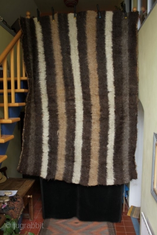 A huge old Bulgarian kozak felted wool sleeping rug. This is the largest kozak I came across on a recent trip to the mountain villages of south and central Bulgaria. It was  ...