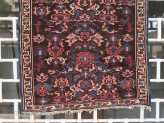 Very cute, old caucasian sumack bidjov (100 cm x 77 cm)
Unusual small size, good condition, with originals braided end finishes, very few repairs visible from the back.
      