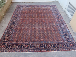Old and beautiful, large and antique Tabriz carpet (332 cm. x 268 cm.) Overall good condition, some wear in places and few small other damages. Additional good pictures + close up and  ...