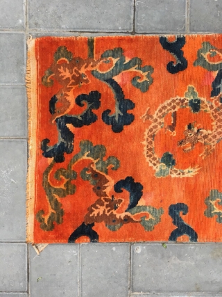 Tibetan rug, Orange background with bat pattern, surrounded by the bat veins. Very nice rug, good age and condition. Size 88*60cm(34*23”)            