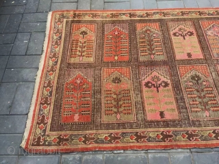 Xingjiang rug, it produced in  Xinjiang Khotan, Very rare Muslim worship rug  for worship. Good age and no any repair. Size 145*272cm(57*106”)         