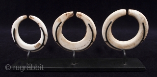 Conus shell earrings.
Western Gulf area, Papua New Guinea.
2.75", 2.5", 2.25" (7, 6, 5.5 cm) diameter.
Early 20th century.
Published in Red Eye of the Sun by Michael Hamson (2010), pg. 184.    