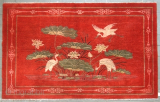 No.M29 * Chinese Antique "Egrets + Lotus" " Rug . Origin: Shanxi-Yulin. Shape: Rectangle Age:19th Century Size:131x203cm(4'4"x6'8"). Background Color:Reds.  
Traditional chinese design. Cotton warp and weft, asymmetrical woollen knots and all  ...