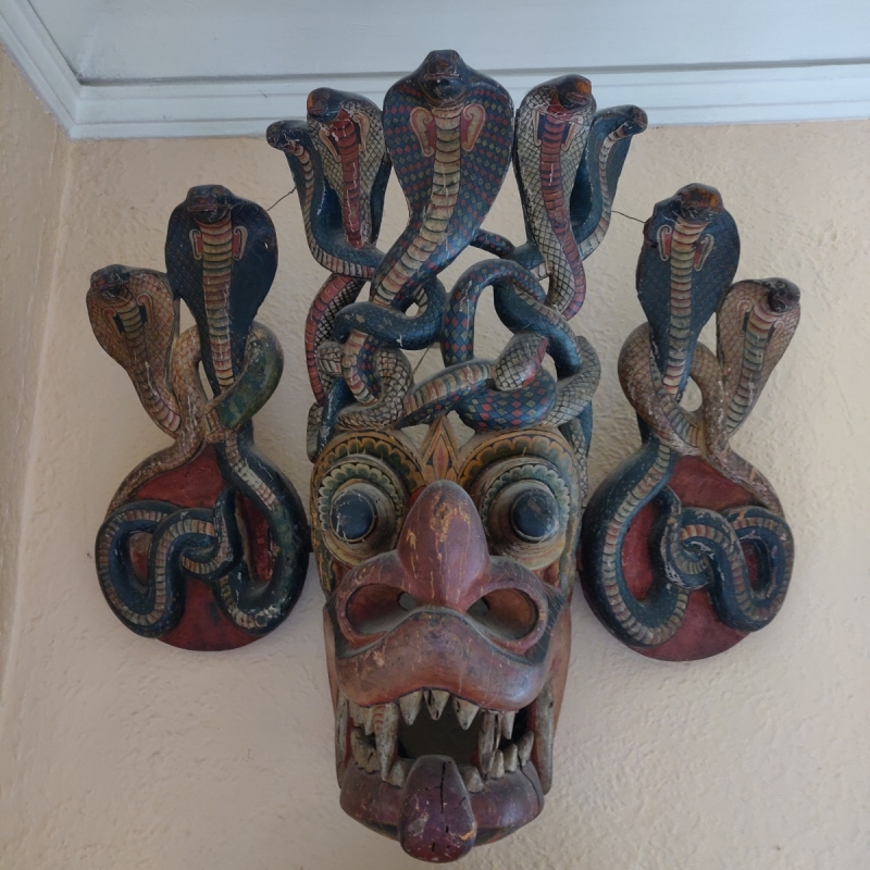 cobra mask